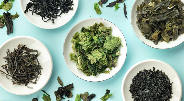 A Deep Dive Into Japanese Seaweed - Types, Flavors, & Health Benefits