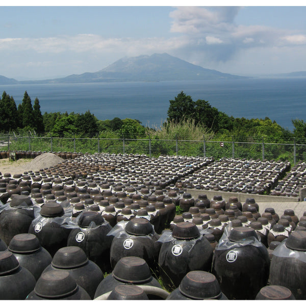 Marushige Shine Muscat Premium Drinking Vinegar 500ml