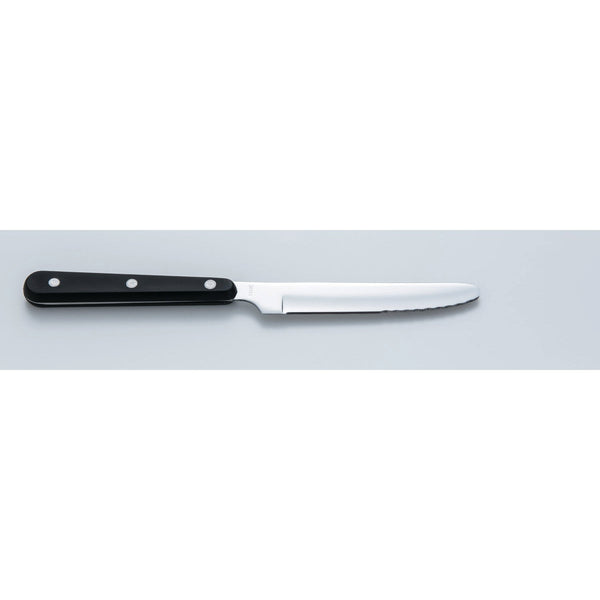 Sekikanetsugu Japanese Steak Knife ST-500