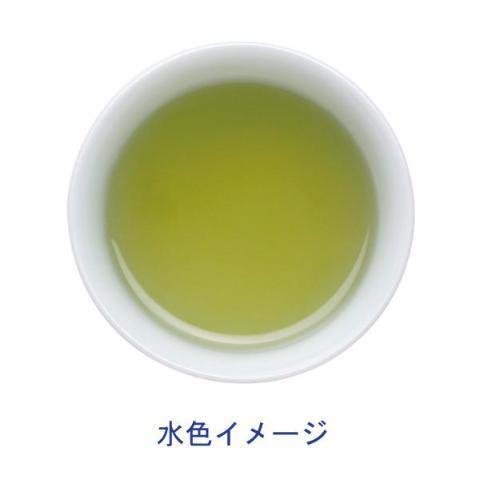 Itoen Oi Ocha Premium Japanese Green Tea Matcha Blend 50 Bags