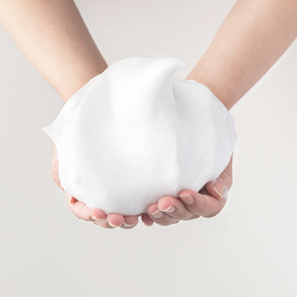 Sana Nameraka Honpo Soy Milk Isoflavone Foaming Cleanser for Dry Skin 150g