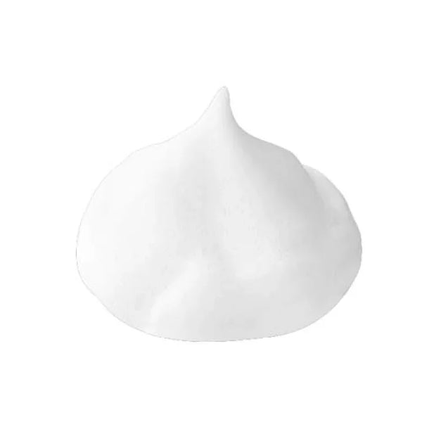 Sana Nameraka Honpo Soy Milk Isoflavone Foaming Cleanser for Normal Skin 150g