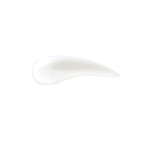 Sana Nameraka Honpo Soy Milk Isoflavone Wrinkle Eye Cream 20g