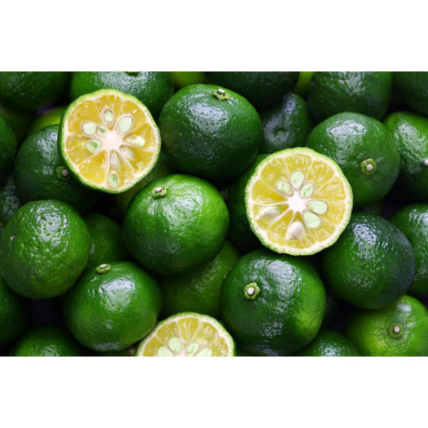 Shikuwasa Juice 100% Okinawa Lime Sour Citrus Juice 270ml