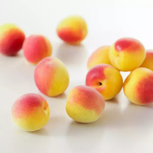 Tokiwa Ume Flavored Japanese Drinking Vinegar Premix Drink 125ml