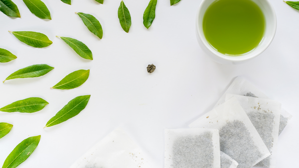 6 Best Green Teas: Health Benefits, Top Brands, and Brewing Tips