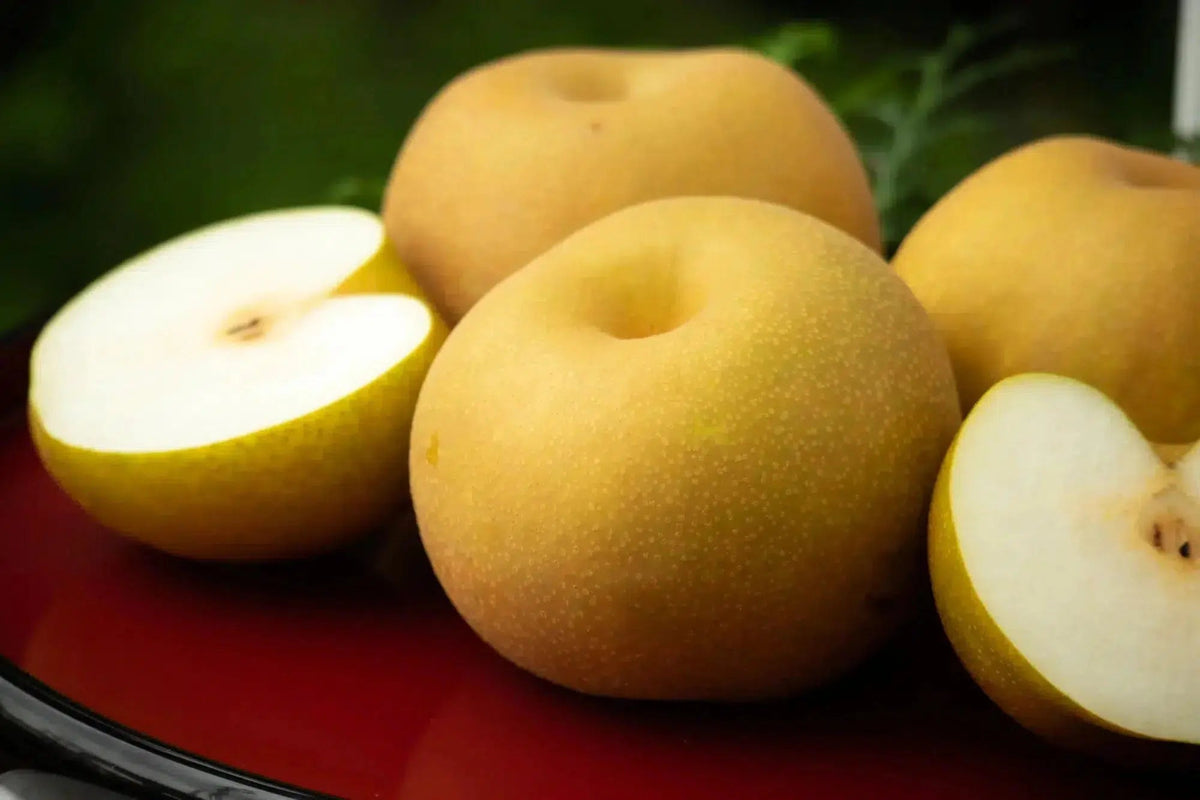 Japanese Pear Ripe What Are Nashi? A Complete Guide To Japanese Pears