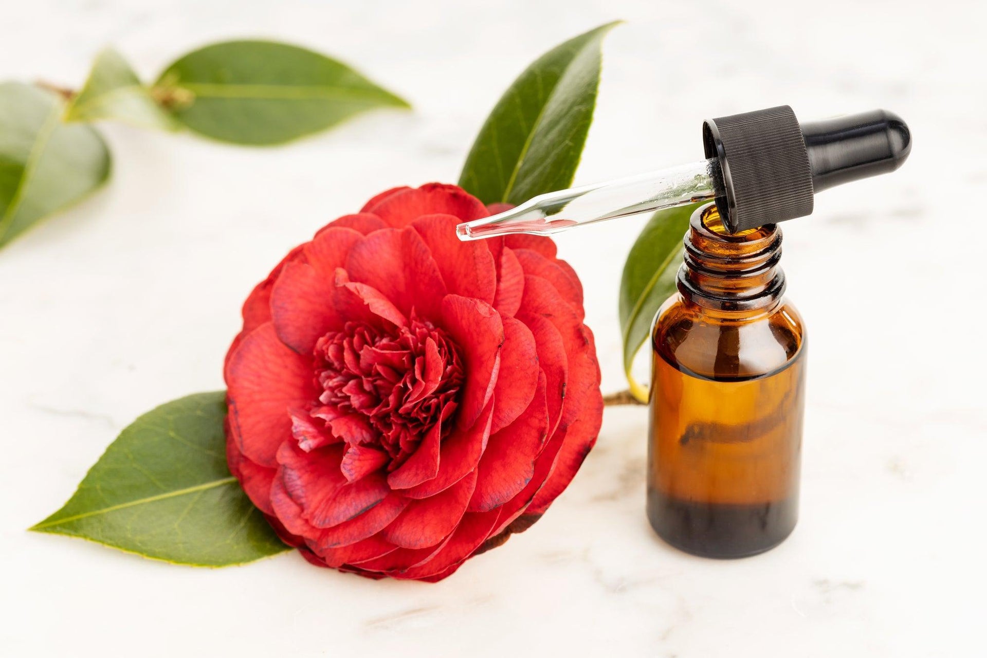 Tsubaki Camellia Oil