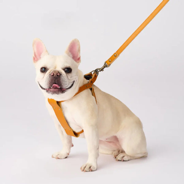 Bonbi Pets Tochigi Cowhide Leather Dog Harness Camel Brown