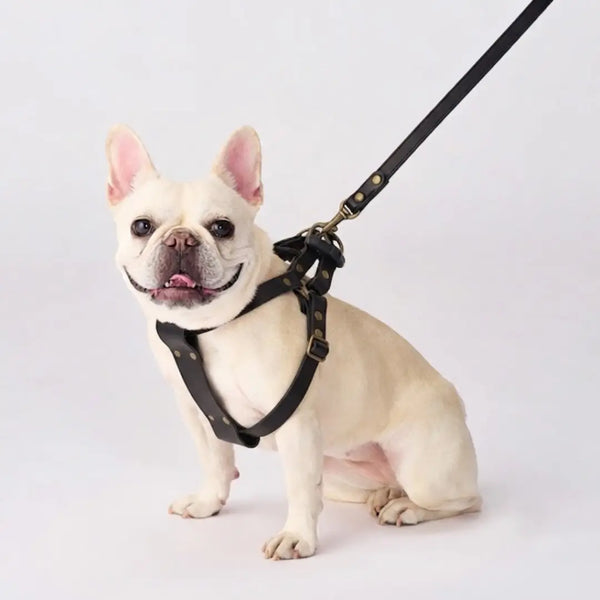 Bonbi Pets Tochigi Cowhide Leather Dog Harness Olive Green