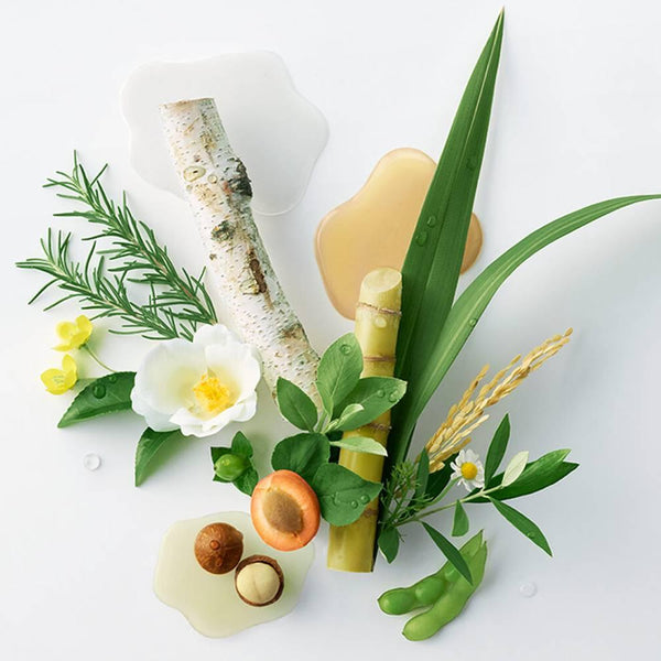 Botanist Botanical Conditioner Apple & Berry Hair Treatment 460g