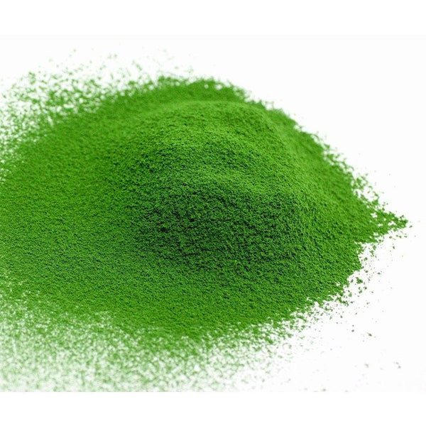 Marukyu Koyamaen Kinrin Uji Matcha Green Tea Powder 40g